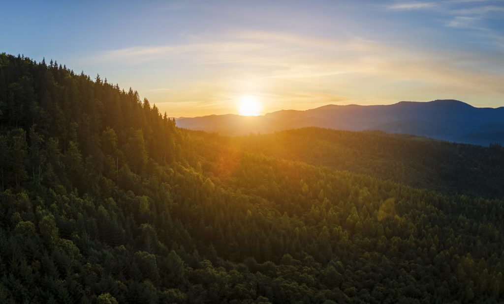 Aerial view of bright foggy morning over dark hills with mountain forest trees at autumn sunrise. Beautiful scenery of wild woodland at dawn