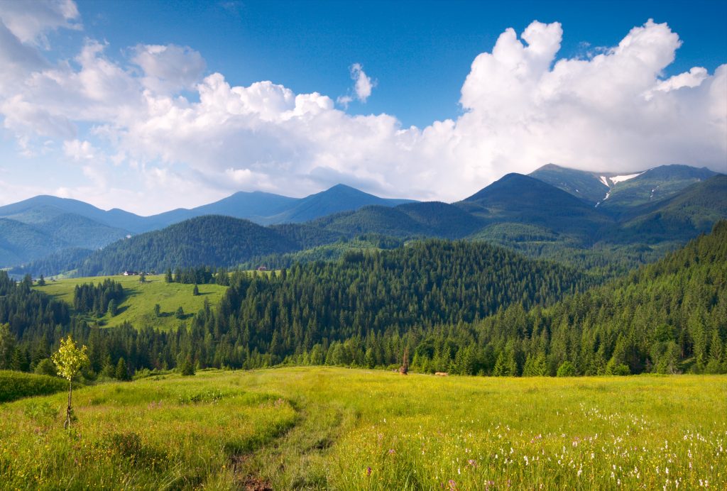 mountain landscape